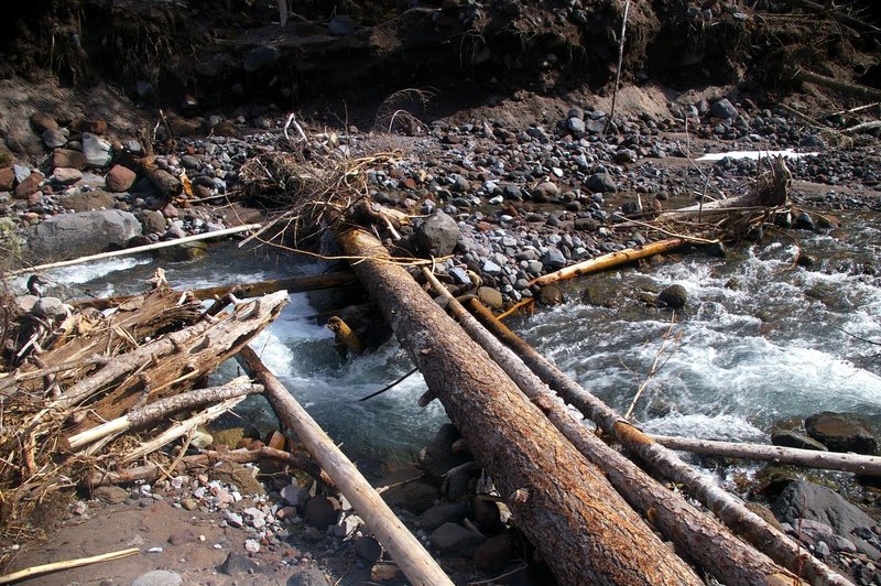 Visitors must use caution when crossing the Sandy River. If you choose to cross on down logs, ensure they are stable, and be careful of loose bark.