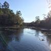 The Suwannee River gleams in the afternoon sun.