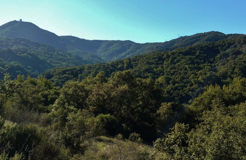 Mt. Umunhum (left) and Mt. Thayer (right) loom in the distant Santa Cruz Mountains from the Enriquita Trail.