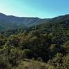 Mt. Umunhum (left) and Mt. Thayer (right) loom in the distant Santa Cruz Mountains from the Enriquita Trail.