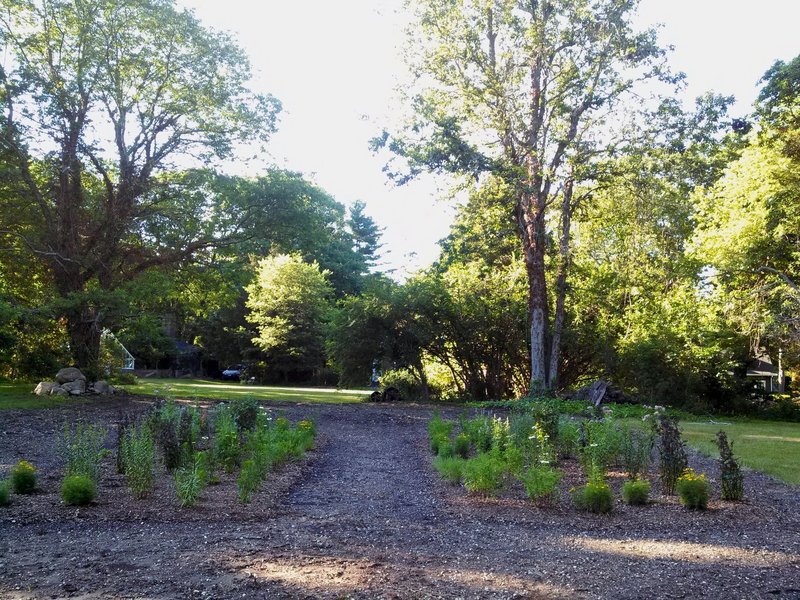 A pollinator garden offers visitors an interesting look at local pollinating bug species.