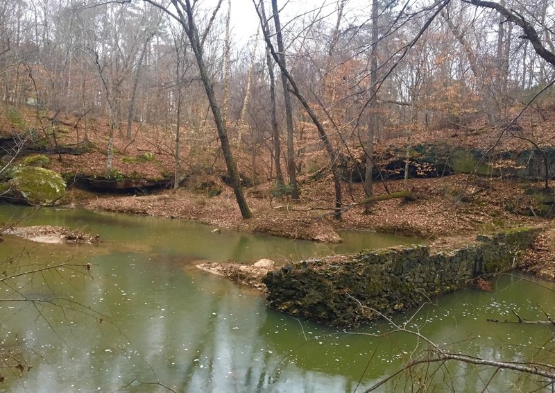An old wall or dam being slowly subsumed by the New Hope Creek.