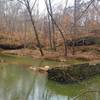 An old wall or dam being slowly subsumed by the New Hope Creek.