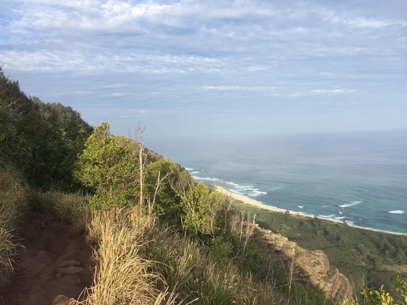 The Kealia Trail offers a gorgeous coastal view to the west.