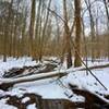 The descent down Piney Mountain Trail offers picturesque woodland views.