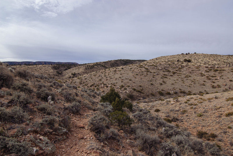 This is a view looking at the desert portion of the trail.