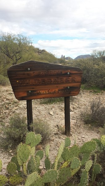 You enter the Superstition Wilderness immediately after starting the run.