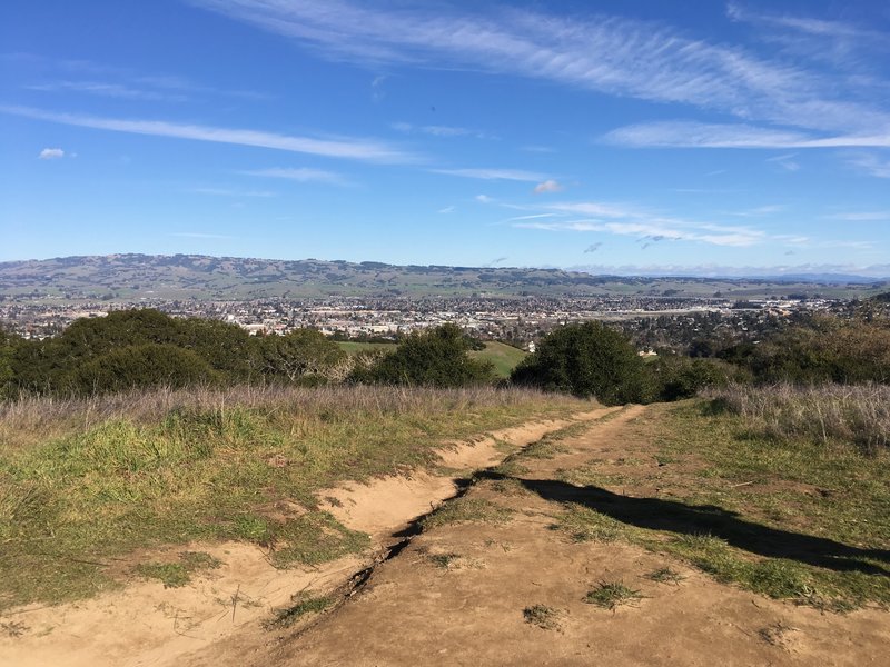 Petaluma looks beautiful from the bench atop the Panorama Trail.