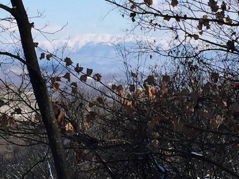 The East Ridge Trail in Steele Creek Park offers dramatic views of Holston Mountain.