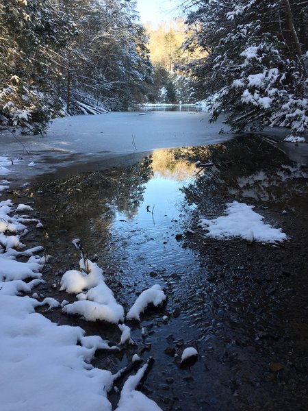 A small cove off of Steel Creek Park Lake makes for beautiful, ice-covered scenery along the Lake Ridge Trail.