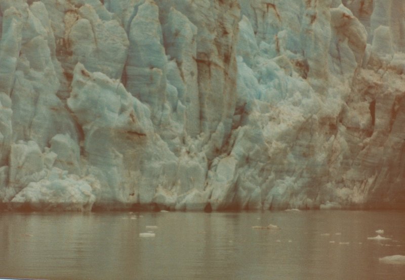 Ice floating in front of Marjerie Glacier offers evidence of recently calved icebergs.