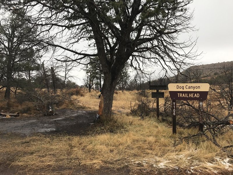 The upper Dog Canyon Trailhead is located at a junction with Forest Road 90B.