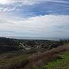 Expect ocean views looking out at Dana Point Harbor when walking on Patriot Hill.