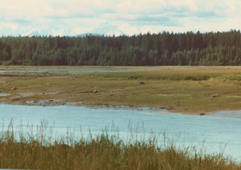 While the tidal flats of the Bartlett River often shine brightly in the sun, the Fairweather Mountains are typically obscured by clouds.