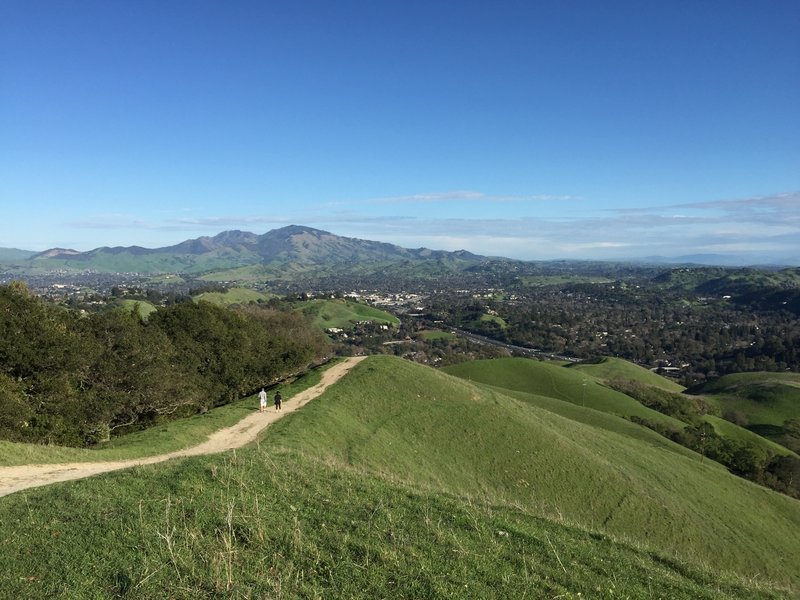 Mount Diablo looks mighty fine from the Lafayette Ridge Trail.