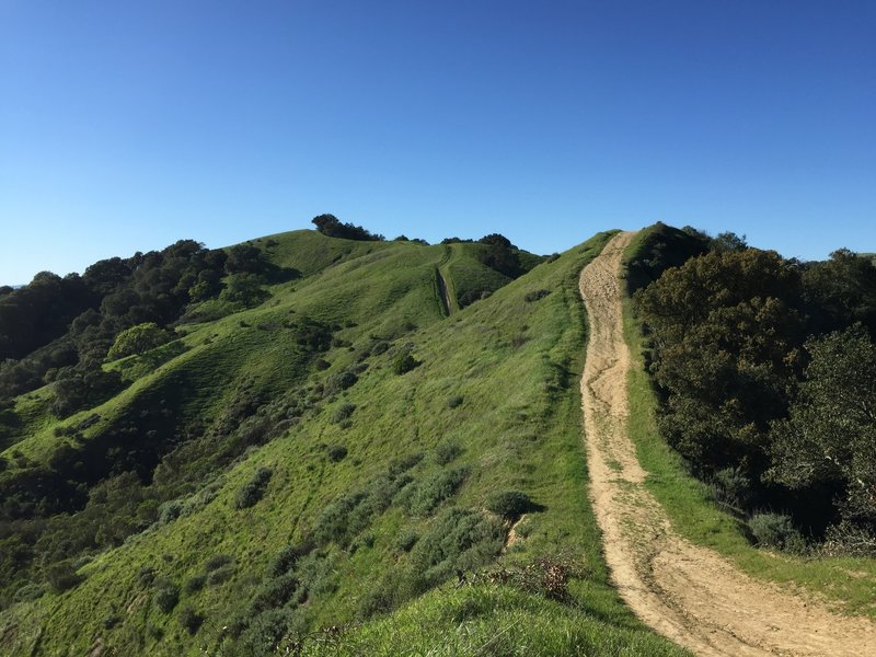 The ups and downs of Lafayette Ridge Trail make for an exciting hike.