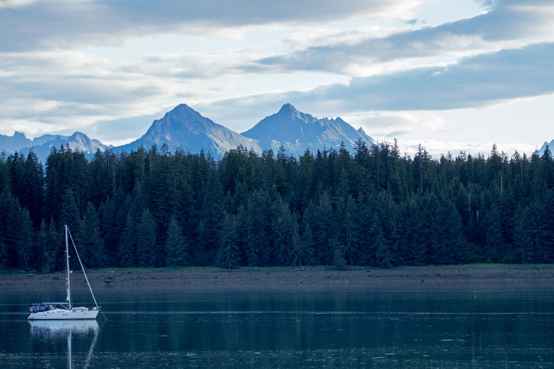 The views across the water from the Tlingit Trail are absolutely gorgeous.