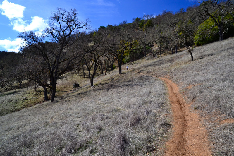 China Hole Trail offers visitors a steady climb up a grassy slope.