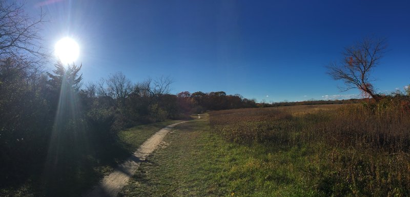 Stillwell Woods, Woodbury, Long Island, NY