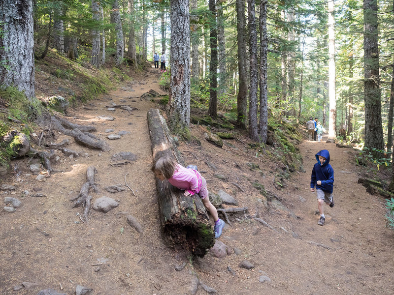 The Mirror Lake Trail is good fun for children. Photo by Dolan Halbrook.