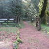 The Historic Barlow Tollgate is at the west end of the Pioneer Bridle Trail. Photo by USFS.