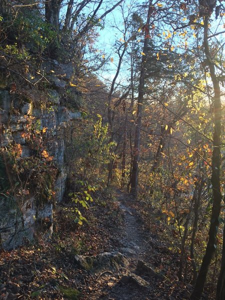 The Harris Street Bridge Trail offers feelings of seclusion along a forested, rocky trail.