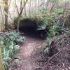 Tunnel Cave is one of many exciting features along the Bluff Trail.