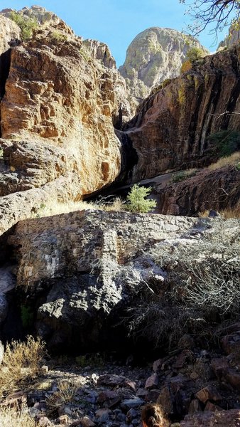 Dripping Springs comes straight out of the rock in this area.