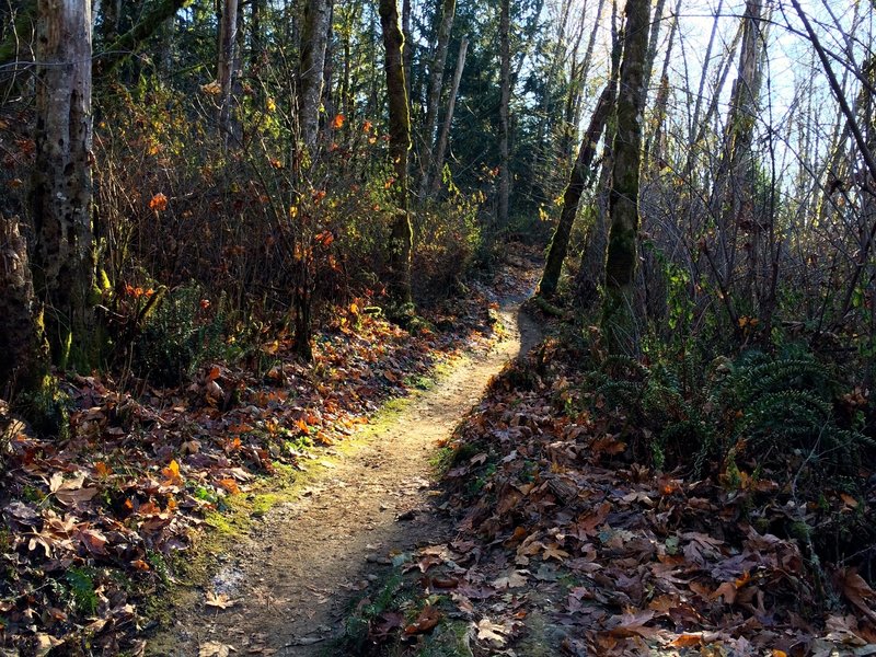 Grand Ridge in mid fall.