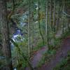 The trail switches back as it approaches the falls. The creek flows close to the trail.