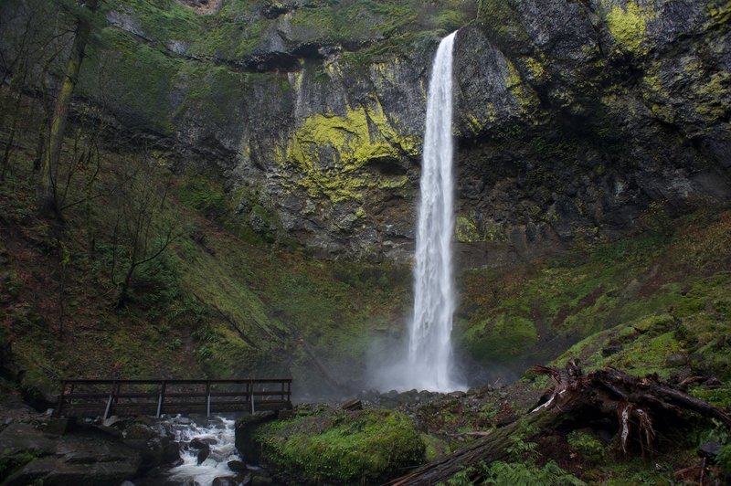 This is a view of the falls and the footbridge that crosses the creek.