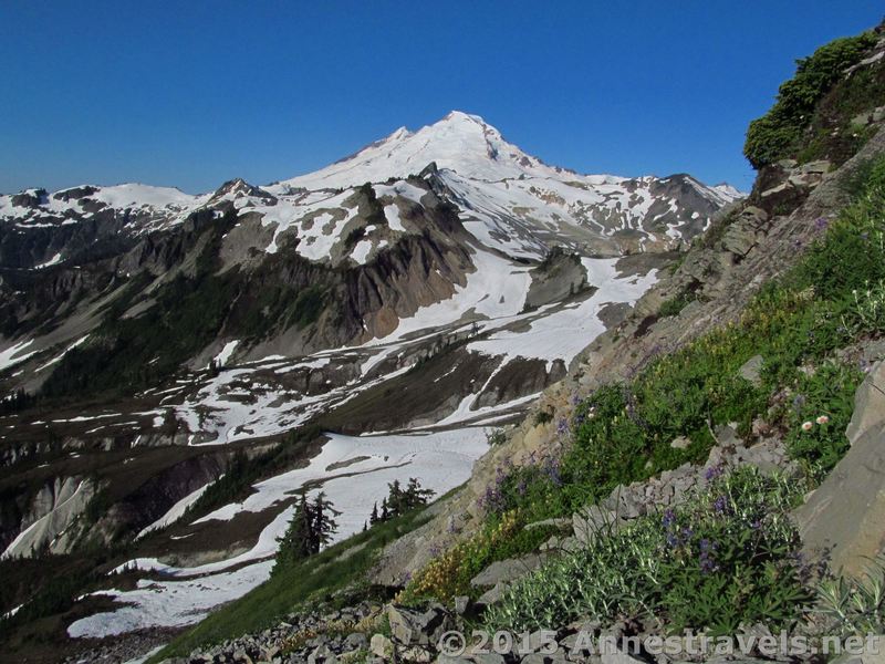 Mt. Baker looks gorgeous from the Table Mountain Trail.