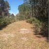 Sal Taylor Creek Preserve makes for a nice, peaceful walk down a mown trail.