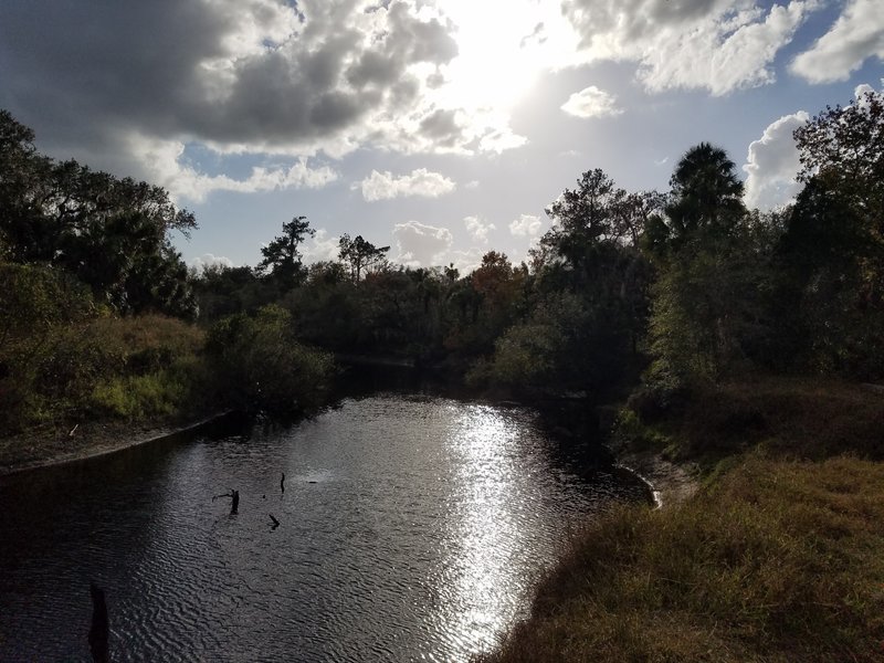 The Little Big Econlockhatchee River makes your journey on the Kokolee Loop nice and peaceful.