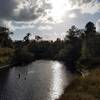 The Little Big Econlockhatchee River makes your journey on the Kokolee Loop nice and peaceful.