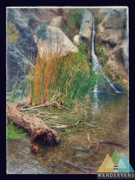 Water cascades serenely from Darwin Falls.