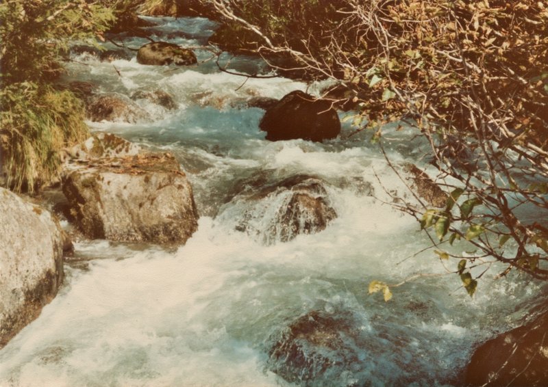 The creek flows rigorously along the East Glacier Trail in Tongass National Forest.