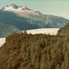 This is looking up Mendenhall Glacier from the East Glacier Trail in 1980. Mendenhall Glacier has receded about a mile since then.