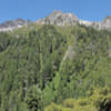 Tall evergreens line the canyon along the Canyon Creek Lakes Trail.