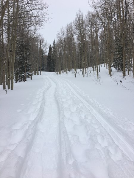 Snowshoeing in Mesa, Colorado.