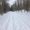 Snowshoeing in Mesa, Colorado.