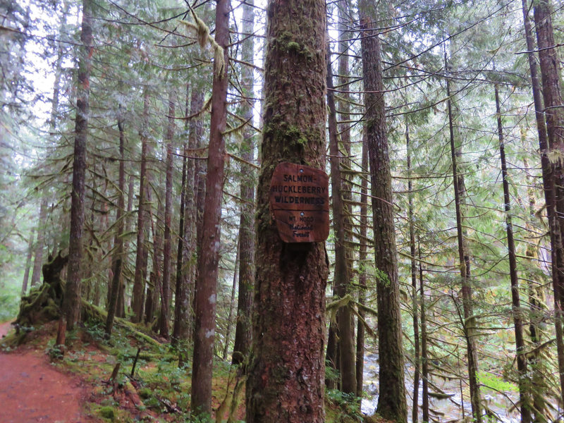 The entrance to the Salmon-Huckleberry Wilderness is about two miles up the Salmon River Trail. Obtain a wilderness permit before you go. Photo by Yunkette.