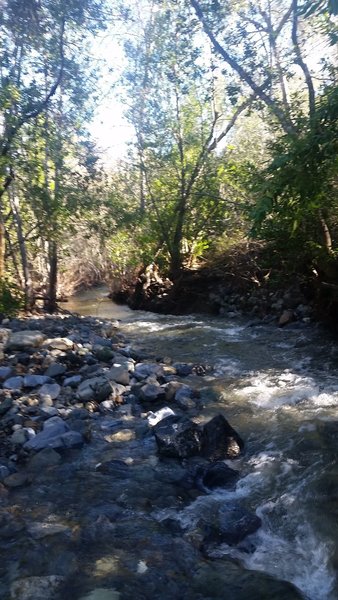 This is the largest river crossing on Baldwin Ranch Road. Needless to say, be prepared to get your feet wet!