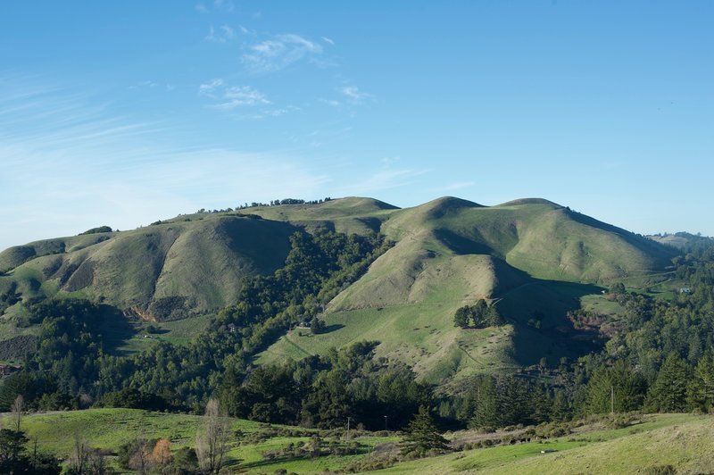 Numerous hills surround Mindego Hill. The hills are green in the winter, thanks to the rain storms that blow through.