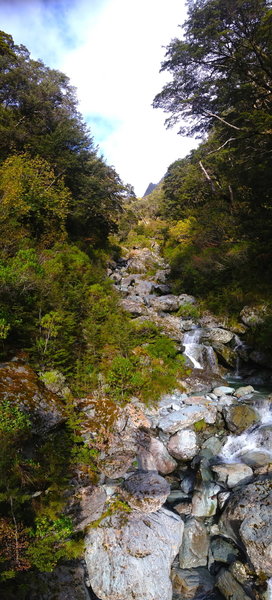 This is one of multiple gorgeous creek crossings you'll make on the way to Falls Hut.