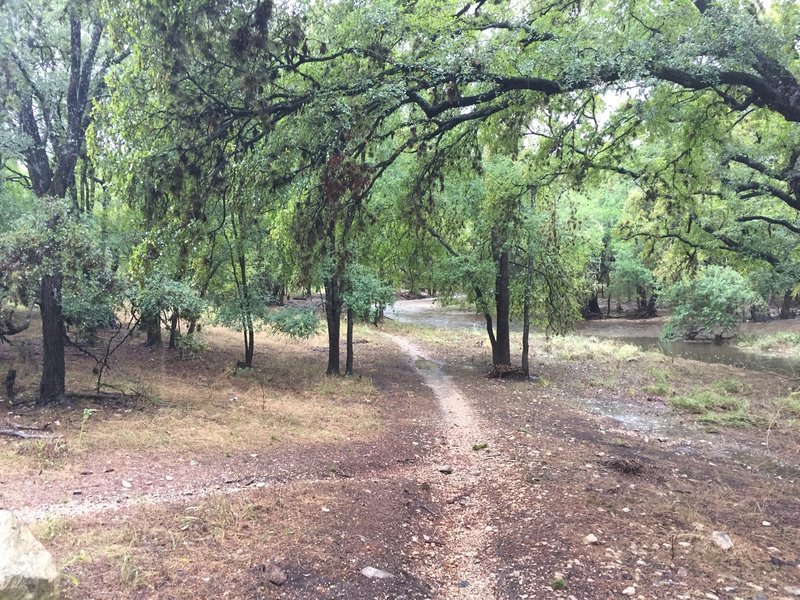 McAllister Park Trails after a good rain.