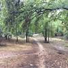 McAllister Park Trails after a good rain.