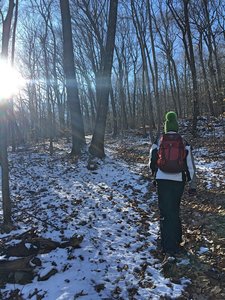 The winter sun begins to set by 3pm on our hike in West Rock Ridge State Park.