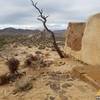 Ryan Ranch, in Joshua Tree National Park, offers fantastic views of its expansive desert surroundings.