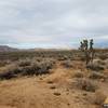 Ryan Ranch, in Joshua Tree National Park, makes for a great little excursion that's certainly not short on views.